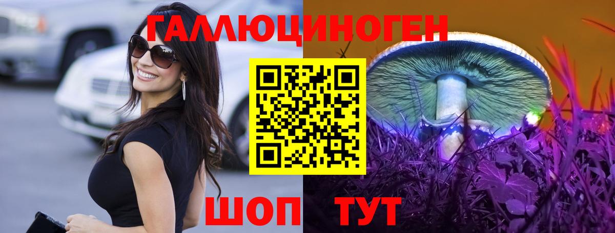 Галлюциногенные грибы Psilocybe  Псилоцибиновые грибы мухоморы  Сокол  Вход с VPN 