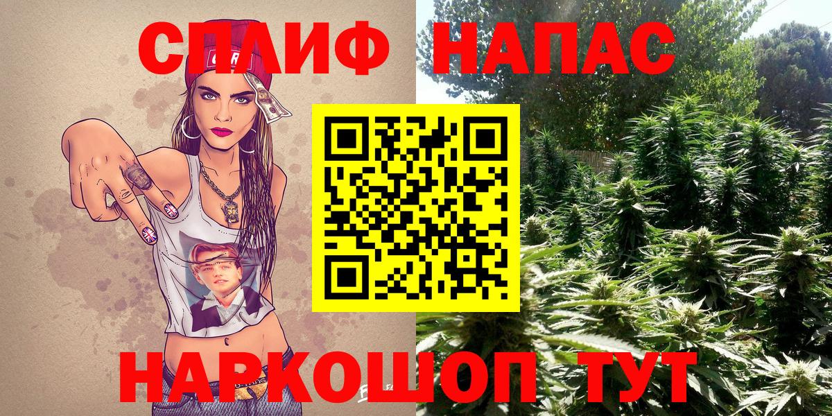 Сокол  Марихуана SATIVA & INDICA  Вход с VPN  Конопля ГИДРОПОН  Канабис ГИДРОПОН  Марихуана ГИДРОПОН 